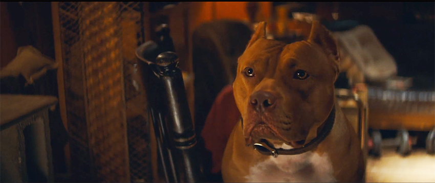 Dogs In The Movies 映画の中の犬 3 Passwork Inc