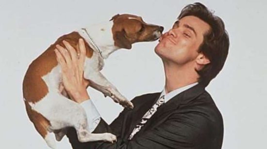 マスク 映画 マイロ 犬 ジム キャリー (B) Dogs in the movies 映画の中の犬 13 | PASSWORK Inc.